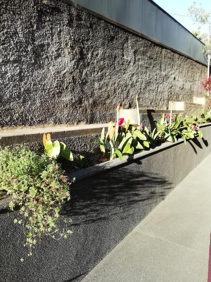 Hotel Fx Carvalhal Funchal  Esterno foto